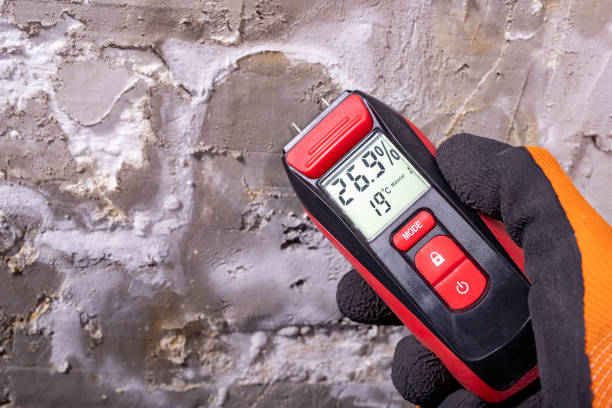 Best Mold Testing  in Carthage, NC