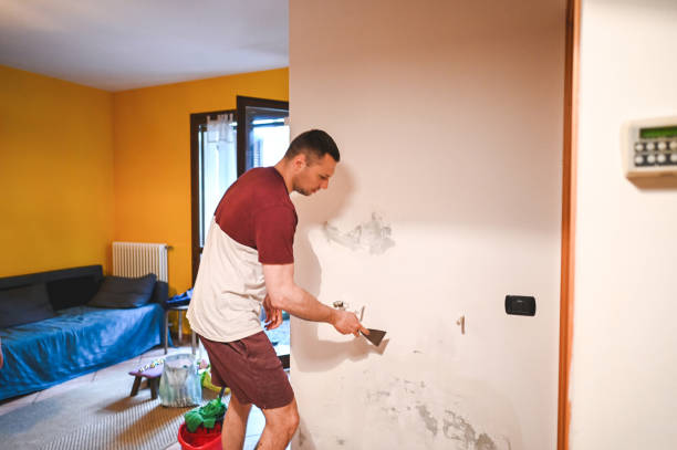 Attic Mold Removal in Carthage, NC