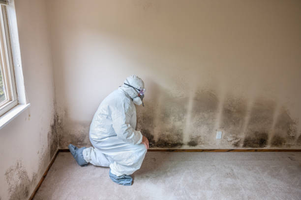Best Crawl Space Mold Removal  in Carthage, NC